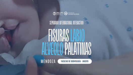 imagen Seminario Internacional Interactivo de Fisuras Labio Alvéolo Palatinas