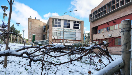 imagen ¡Feliz receso invernal!