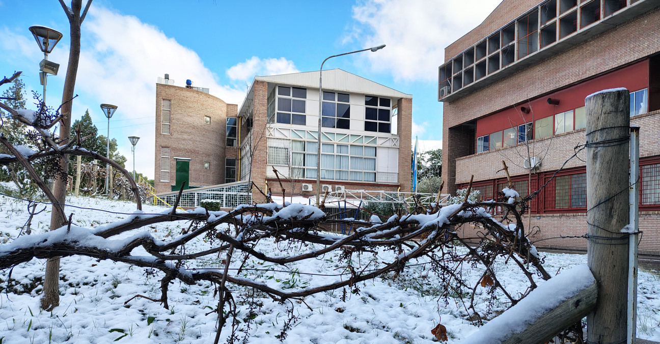 imagen ¡Feliz receso invernal!