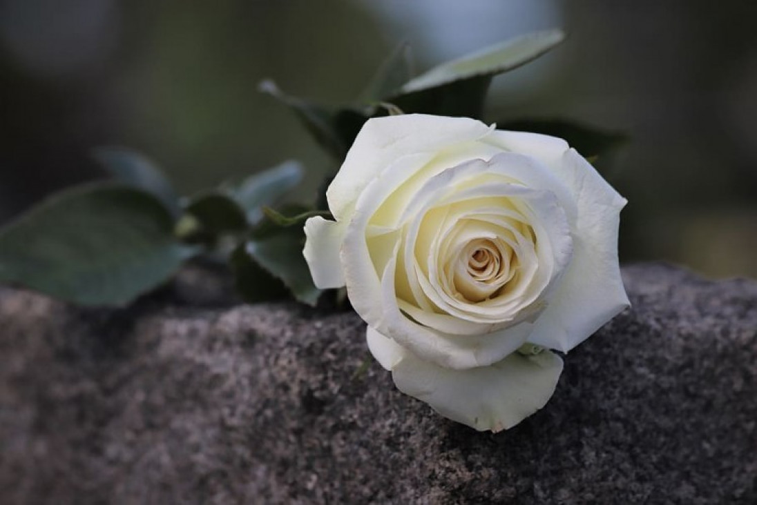 imagen Condolencias - Rodolfo Luis Pessina