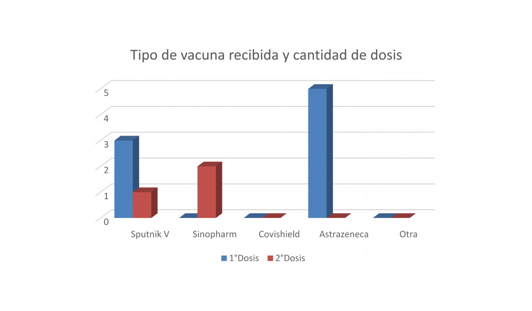 imagen Gráfico N°10