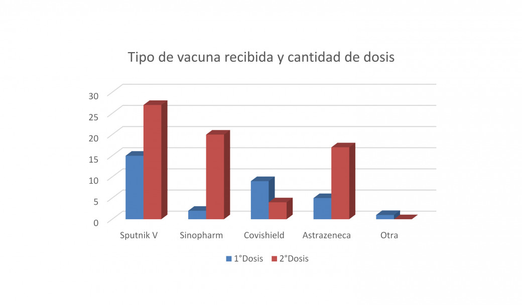 imagen Gráfico N°4