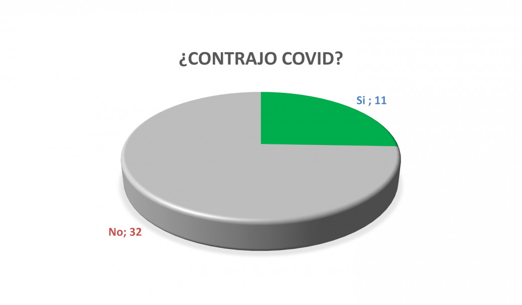 imagen Gráfico N°5