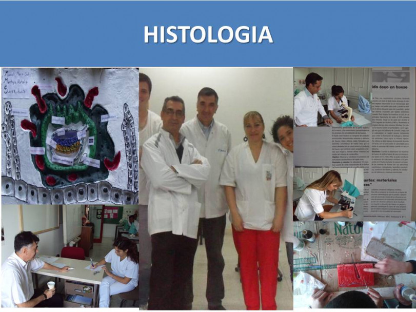 imagen Histología y Embriología