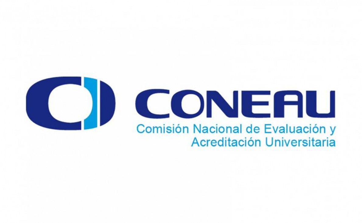 imagen CONEAU - Ficha de Actividades de investigación