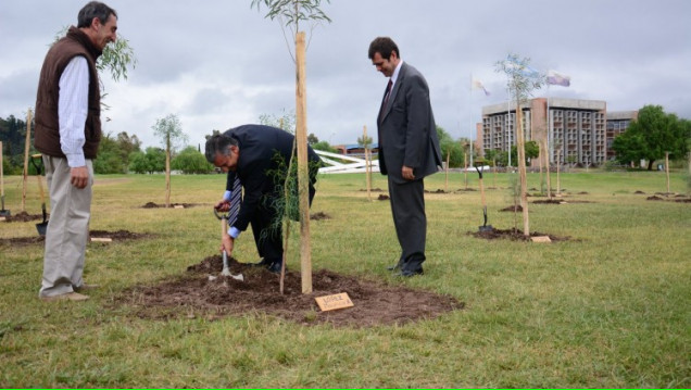 imagen DIA de la MEMORIA en la UNCuyo