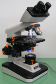 imagen guia microscopia