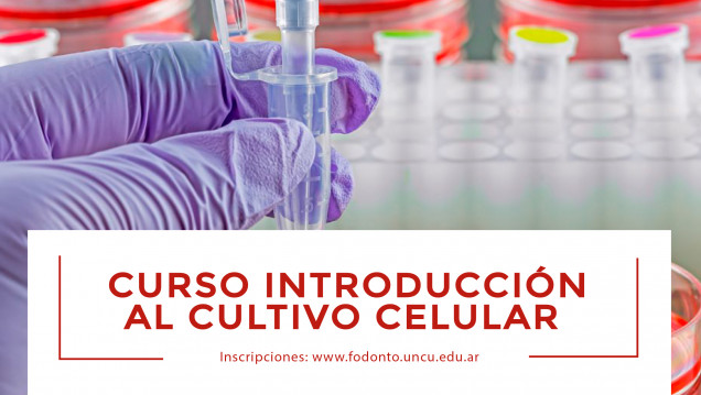 imagen Se acerca el curso "Introducción al cultivo celular"