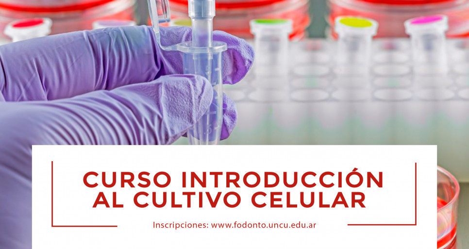 imagen Se acerca el curso "Introducción al cultivo celular"