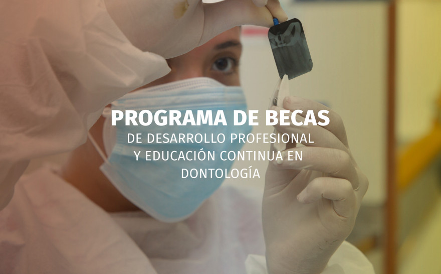 imagen Programa de Becas: Cuarta convocatoria para Odontólogos